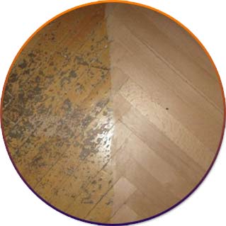 pose parquet avec colle et flottante